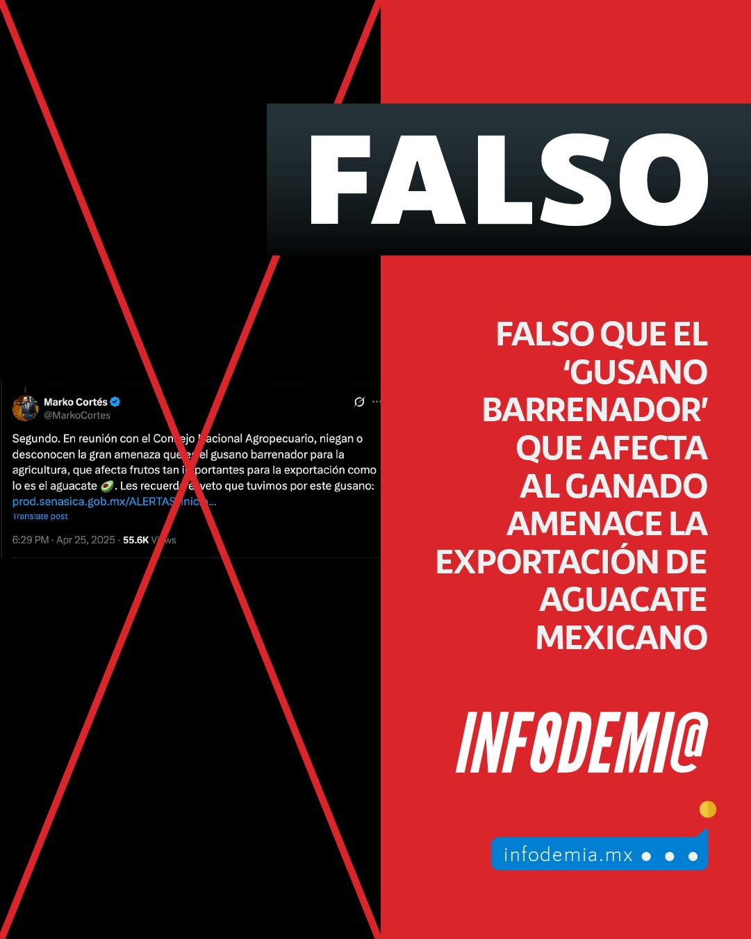 InfodemiaMx